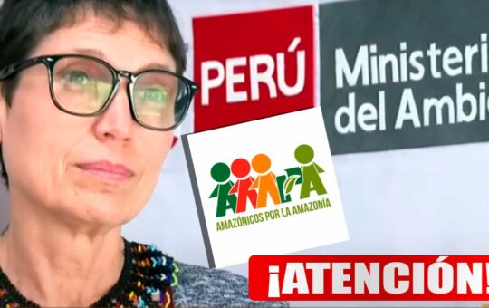 Ministerio del Ambiente benefició a ONG fundada por viceministra, Karina Pinasco