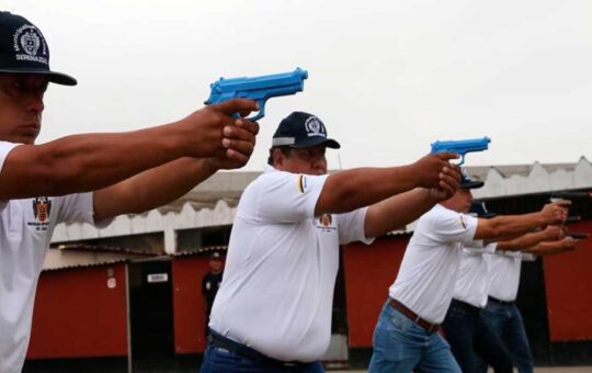 Congreso apruobó ley que autorizan uso de armas no letales a serenazgo municipal