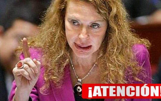 Eliane Karp, esposa de Alejandro Toledo estaría por llegar a Israel en vuelo comercial