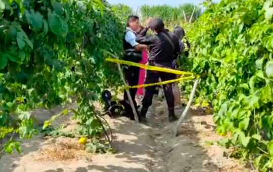 Végueta: Venezolano es asesinado a pedradas en medio de sembríos de maracuyá | VIDEO