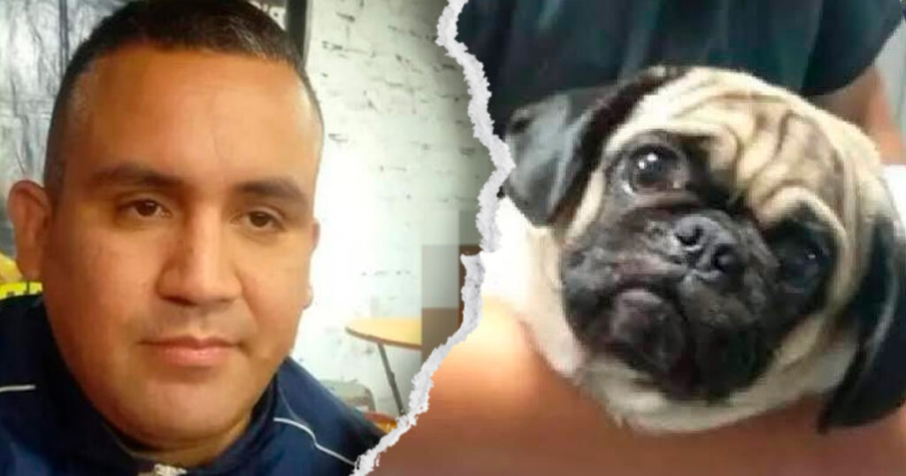 PJ sentencia a un año y seis meses de prisión a sujeto que acuchilló a la perrita ‘Dachi’