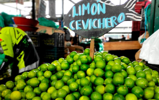 ¿Conoce hasta cuando seguirá subiendo el precio del limón?