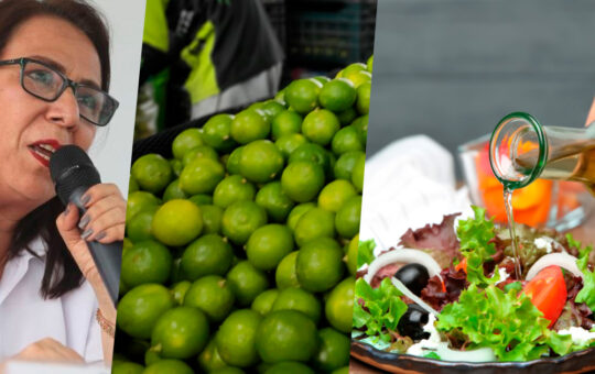 “Echen un poco más de sal, vinagre, sidra a las ensaladas”