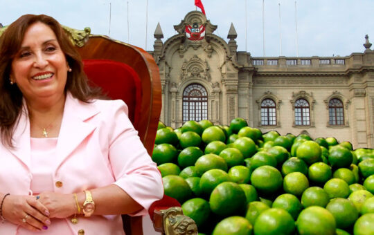 Palacio compró 3 toneladas de limones categoría extra y otros por más de S/280 mil