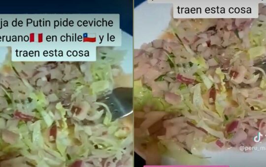 Extranjera se indigna al pedir ceviche peruano en Chile y recibir una ensalada