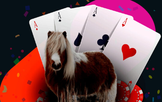 Perfiles y estrategias de los mejores jugadores de póquer