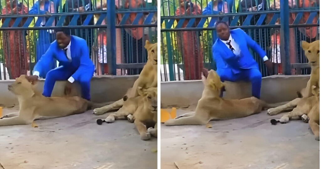 Pastor se mete a jaula con leones para recrear un pasaje bíblico y casi termina devorado