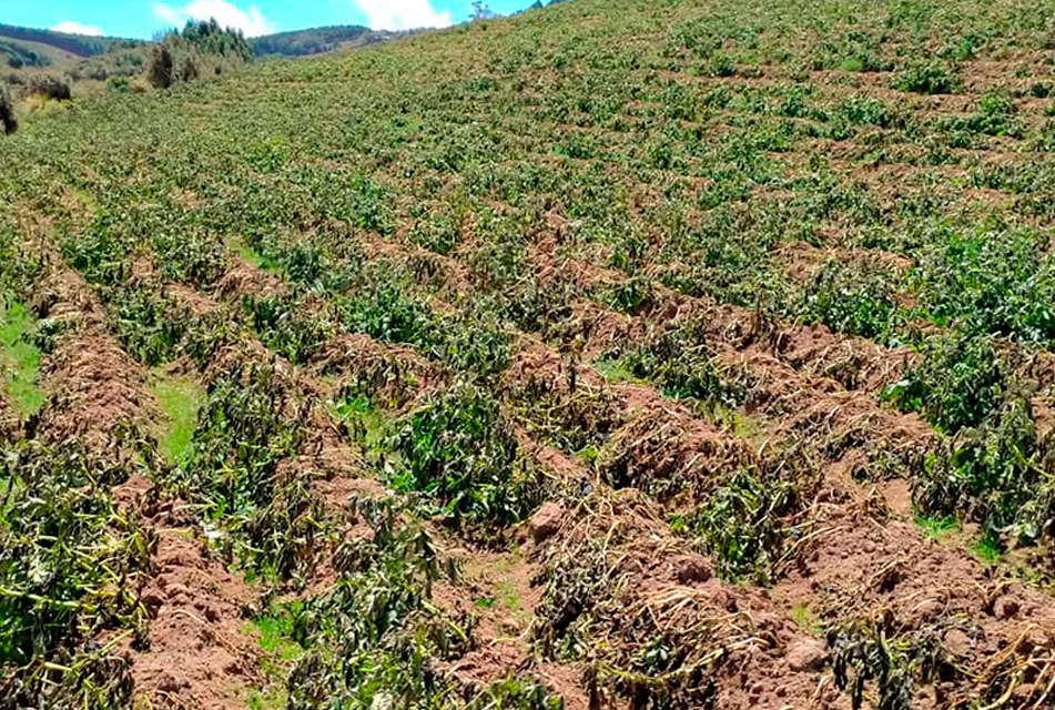 AGUA CON MATERIA FECAL TERMINA EN SEMBRÍOS DE CAJAMARCA POR FALTA DE PLANTAS DE TRATAMIENTO – RCR Peru
