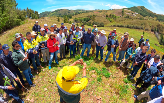 FONCREAGRO ADELANTARÁ PARA ESTE AÑO META DE SEMBRAR UN MILLÓN DE ÁRBOLES EN CAJAMARCA – RCR Peru