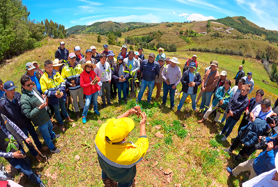 FONCREAGRO ADELANTARÁ PARA ESTE AÑO META DE SEMBRAR UN MILLÓN DE ÁRBOLES EN CAJAMARCA – RCR Peru