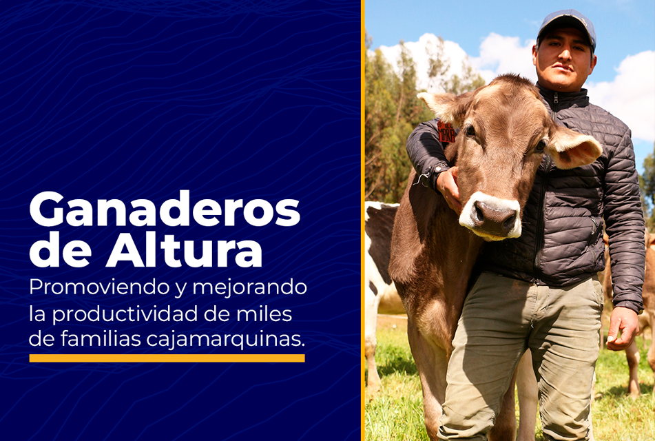 PROGRAMA “GANADEROS DE ALTURA” DE NEWMONT – FONCREAGRO INCREMENTÓ PRODUCCIÓN DE LECHE EN CAJAMARCA – RCR Peru