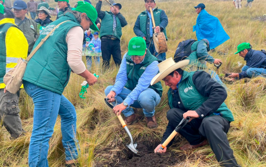 PROYECTO “HUELLA VERDE” LOGRA PLANTAR UN MILLÓN DE ÁRBOLES EN CAJAMARCA Y SE PROYECTA SEMBRAR 500 MIL MÁS AL 2025. – RCR Peru