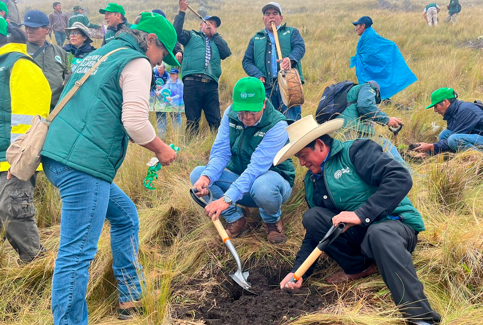 PROYECTO “HUELLA VERDE” LOGRA PLANTAR UN MILLÓN DE ÁRBOLES EN CAJAMARCA Y SE PROYECTA SEMBRAR 500 MIL MÁS AL 2025. – RCR Peru