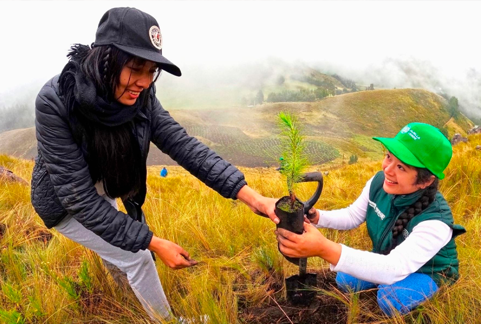 COOPERACIÓN PÚBLICA Y PRIVADA LOGRÓ REBASAR LA META DE PLANTAR UN MILLÓN DE ÁRBOLES EN CAJAMARCA – RCR Peru