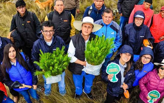 MESA TÉCNICA FORESTAL EN BUSCA DE DESARROLLAR LA ACTIVIDAD FORESTAL EN CAJAMARCA – RCR Peru