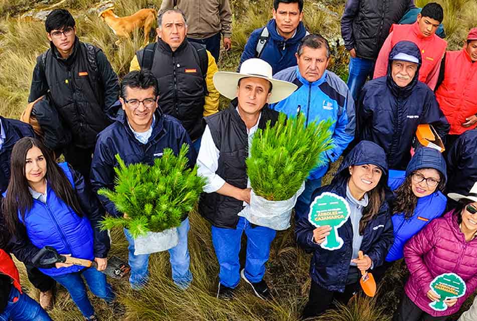 MESA TÉCNICA FORESTAL EN BUSCA DE DESARROLLAR LA ACTIVIDAD FORESTAL EN CAJAMARCA – RCR Peru