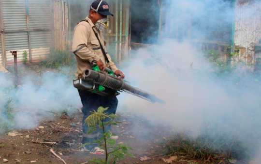 CASOS DE DENGUE LLEGAN A CERCA DE 600 EN CAJAMARCA – RCR Peru