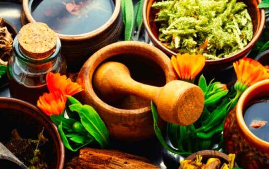 POTENCIAL MEDICINAL EN LA AMAZONÍA SIN EXPLOTAR PODRÍA GENERAR MILES DE MILLONES DE DÓLARES – RCR Peru