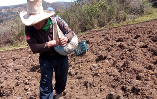 CAJAMARCA HA INGRESADO A UNA TEMPORADA DE SEQUÍAS – RCR Peru