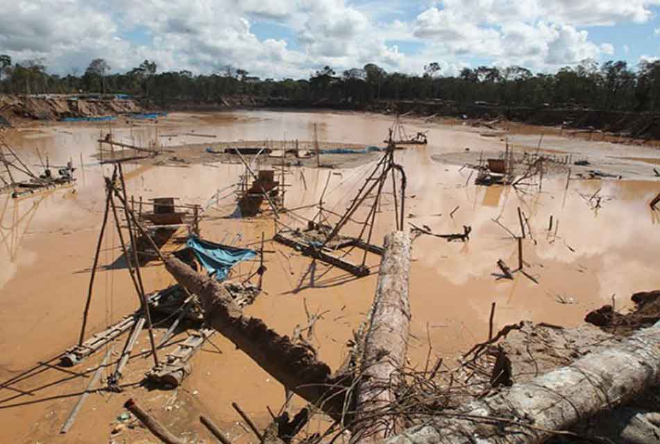 SI NO ENFRENTAMOS LA MINERÍA Y LA TALA ILEGAL VAMOS A PERDER A LA AMAZONÍA – RCR Peru