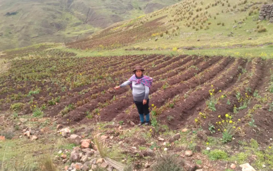 GANADEROS Y AGRICULTORES EXIGEN ATENCIÓN ANTE FALTA DE AGUA Y CAMBIO CLIMÁTICO – RCR Peru