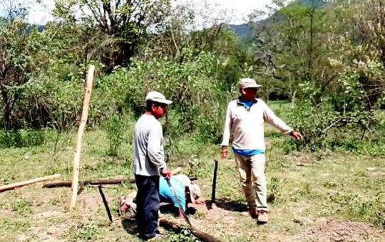 HAY 47 MIL HECTÁREAS QUE NECESITAN CON URGENCIA UNA LABOR DE REFORESTACIÓN EN PIURA – RCR Peru