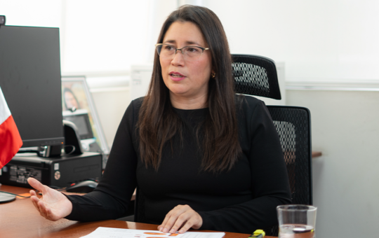 SOLO EL 9% DE LOS MINEROS QUE BUSCAN FORMALIZARSE SON TITULARES DE LAS CONCESIONES DONDE OPERAN – RCR Peru