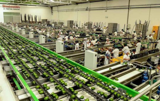 PERÚ PODRÍA MANTENER RITMO DE CRECIMIENTO DE AGROINDUSTRIA SI SIGUEN CONDICIONES CLIMÁTICAS – RCR Peru