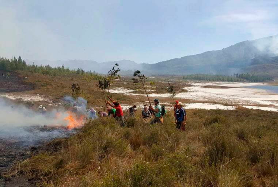 REGISTRAN INCENDIOS FORESTALES EN SAN MARCOS, CONTUMAZÁ Y CAJAMARCA – RCR Peru