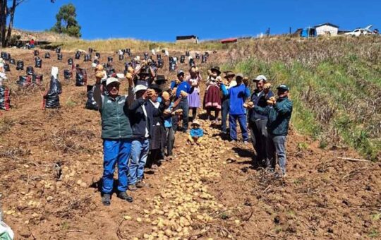 INIA, AGROIDEAS Y AGROBANCO IMPULSARÁN PROYECTOS DE INNOVACIÓN PARA POTENCIAR ACTIVIDAD AGRARIA – RCR Peru