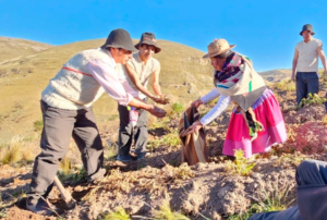 FOVIDA IMPULSA AGRICULTURA FAMILIAR CON CONOCIMIENTOS ANCESTRALES EN HUANCAVELICA Y JUNÍN – RCR Peru