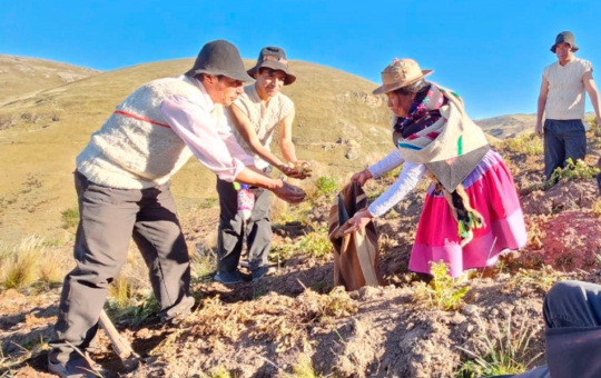 FOVIDA IMPULSA AGRICULTURA FAMILIAR CON CONOCIMIENTOS ANCESTRALES EN HUANCAVELICA Y JUNÍN – RCR Peru