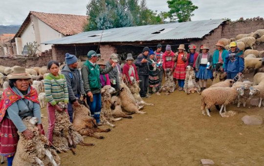 AGRO RURAL ENTREGARÁ MÁS DE 3 MIL COBERTIZOS ESTE 31 DE JULIO PARA AGRICULTORES Y GANADEROS AFECTADOS POR LAS HELADAS – RCR Peru