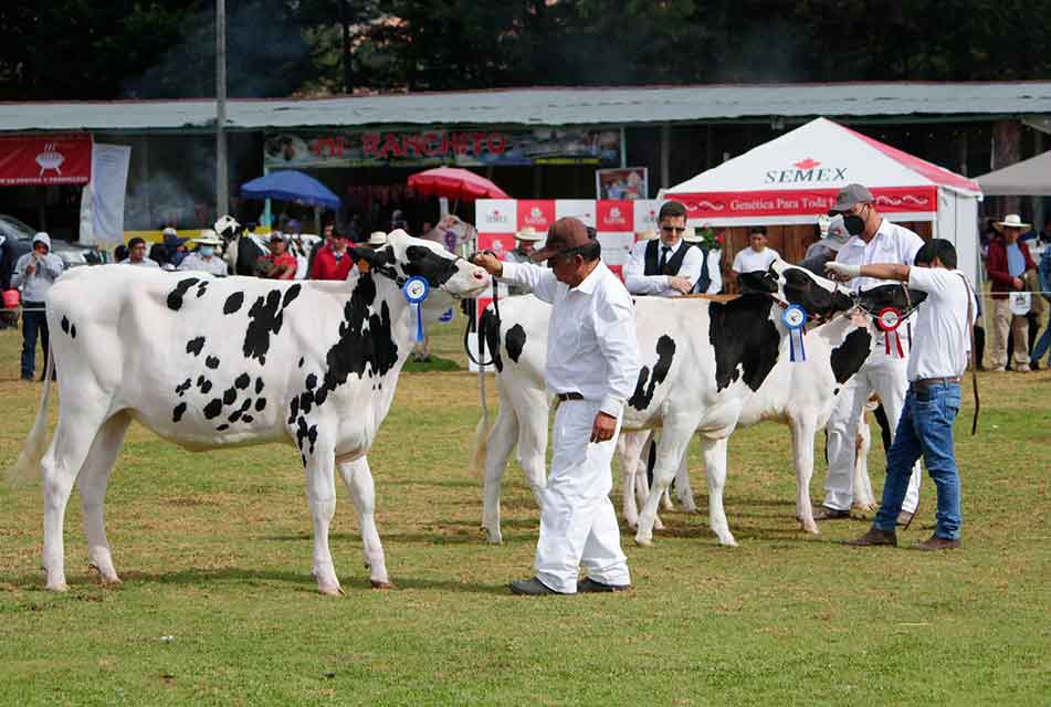 ASOCIADOS A “CONSUMA LO QUE CAJAMARCA PRODUCE” DE NEWMONT ALAC PARTICIPAN EN FERIA FONGAL CAJAMARCA 2024 – RCR Peru