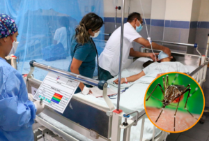 DENGUE SIGUE SIENDO UNA EPIDEMIA CON 270 CASOS REGISTRADOS EN LA ÚLTIMA SEMANA – RCR Peru