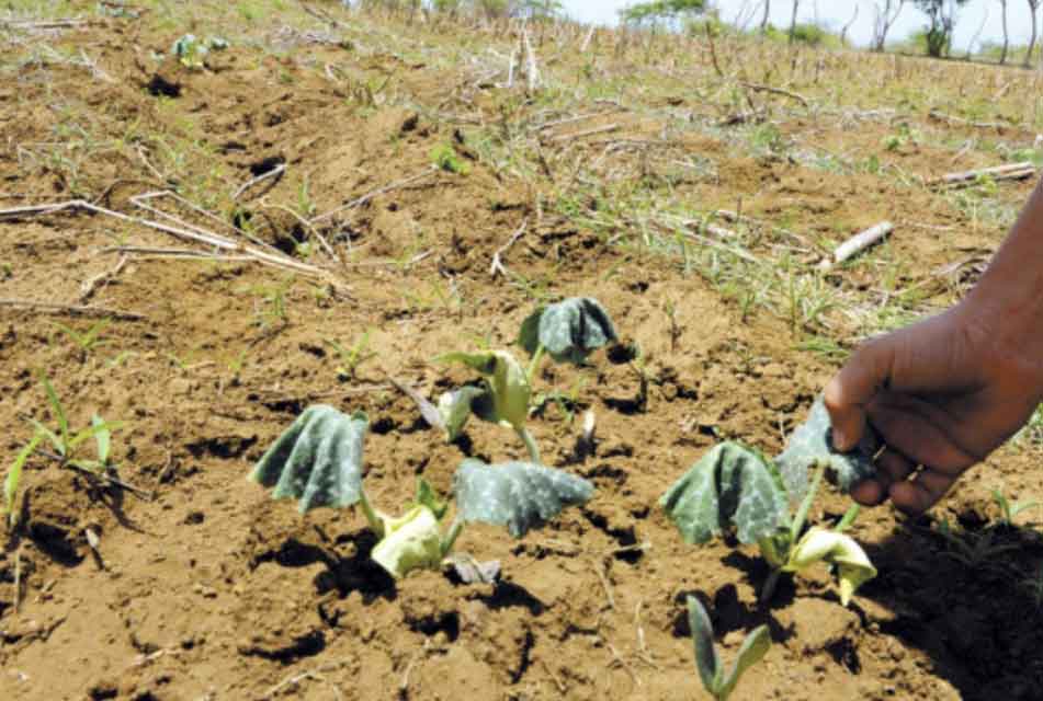 CAJAMARCA VIVE TEMPORADA DE SEQUÍA QUE SE PROLONGARÁ HASTA AGOSTO Y SEPTIEMBRE – RCR Peru