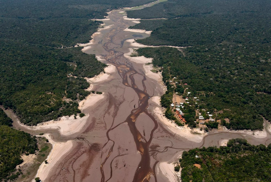 BOSQUE TROPICAL AMAZÓNICO EN EL PERÚ ESTÁ EN RIESGO DE DESAPARECER POR DESFORESTACIÓN Y CAMBIO CLIMÁTICO – RCR Peru