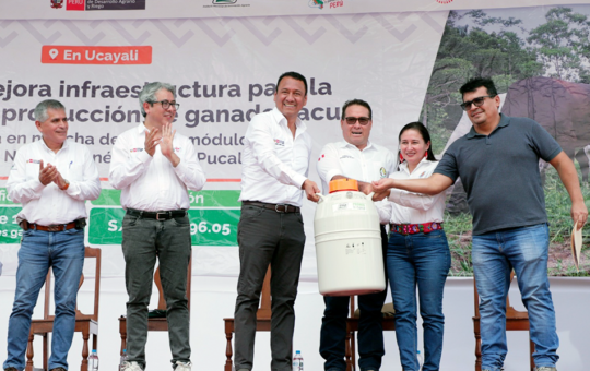 GOBIERNO INAUGURÓ PRIMER MÓDULO DE MANEJO DE GANADO VACUNO QUE BENEFICIARÁ A MÁS DE 1,500 GANADEROS EN UCAYALI – RCR Peru