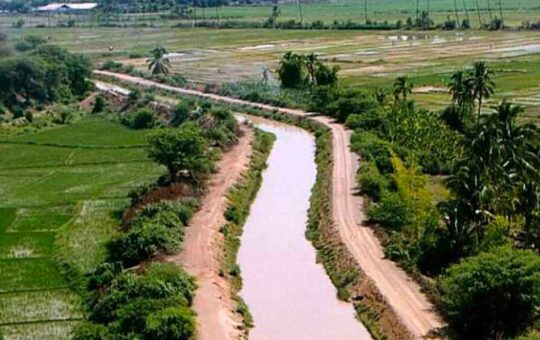 VALLE DE SAN LORENZO ENFRENTA UNA GRAVE CRISIS DE SEQUÍA QUE AMENAZA EL CULTIVO DE MANGO Y ARROZ – RCR Peru