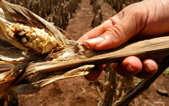 SAN MARCOS, CAJABAMBA, CELENDÍN, HUALGAYOC, CAJAMARCA, CONTUMAZÁ, SAN PABLO Y SAN MIGUEL ENFRENTARÁN DÉFICIT HÍDRICO POR FALTA DE LLUVIAS – RCR Peru