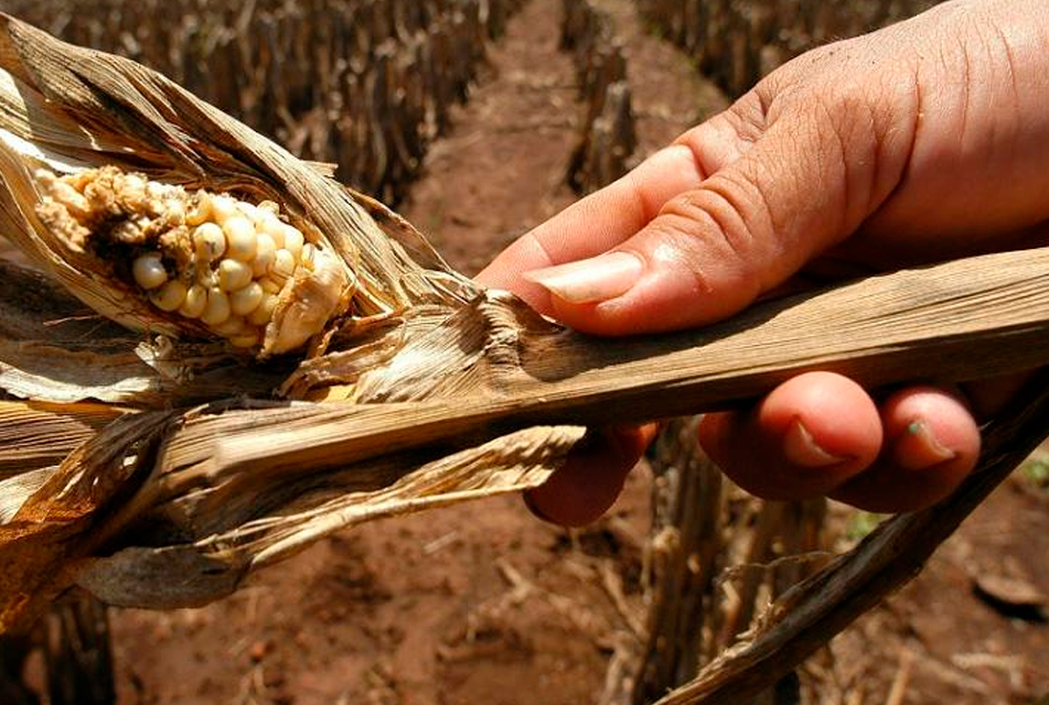 SAN MARCOS, CAJABAMBA, CELENDÍN, HUALGAYOC, CAJAMARCA, CONTUMAZÁ, SAN PABLO Y SAN MIGUEL ENFRENTARÁN DÉFICIT HÍDRICO POR FALTA DE LLUVIAS – RCR Peru