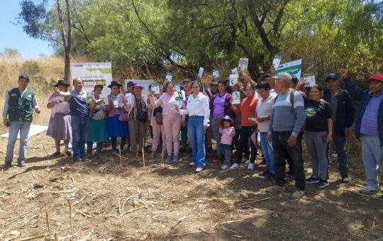 INIA INICIA ANÁLISIS DE LA CALIDAD DEL SUELO AGRARIO EN EL DISTRITO DE LURICOCHA – RCR Peru