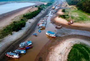 DAVID LANDA ADVIRTIÓ SOBRE LA SITUACIÓN CATASTRÓFICA DE LA AMAZONÍA – RCR Peru