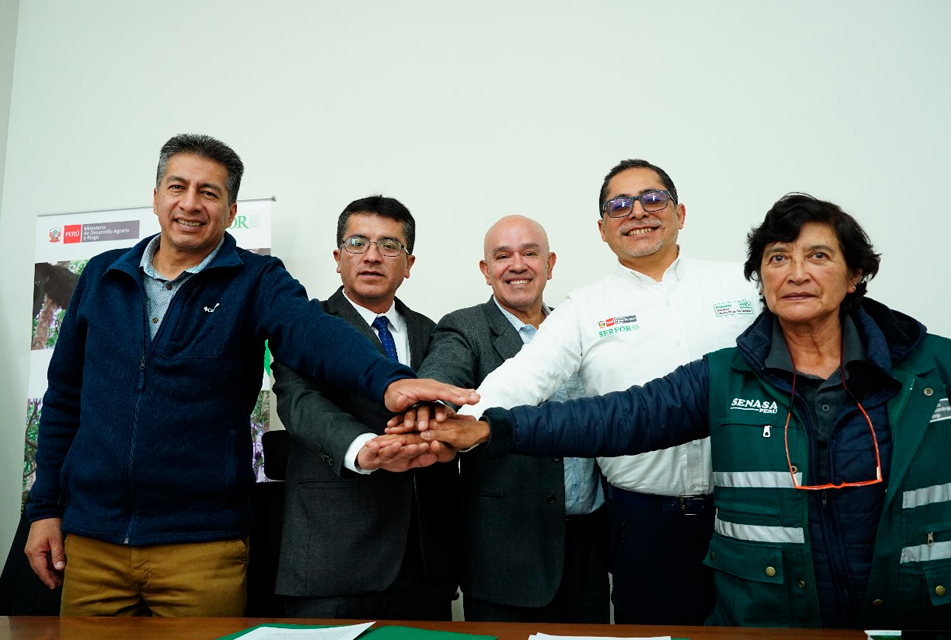 UNIMOS FUERZAS PARA POTENCIAR LA PRODUCTIVIDAD Y SOSTENIBILIDAD FORESTAL EN CAJAMARCA – RCR Peru