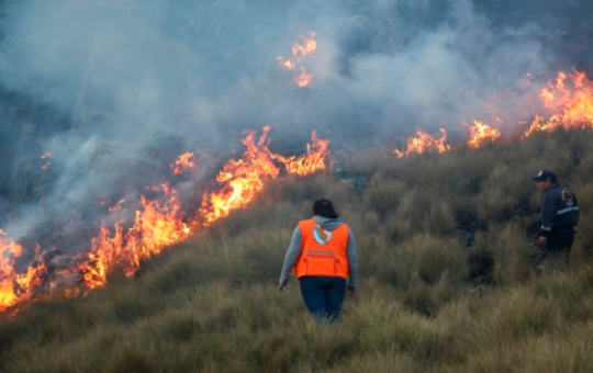 INCENDIOS FORESTALES HAN AFECTADO A MÁS DE 28 MIL HECTÁREAS EN EL 2024 – RCR Peru