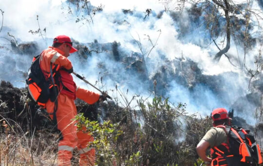 SE HA PODIDO CONTROLAR UN 80% DE INCENDIOS FORESTALES EN CAJAMARCA TRAS UN TRABAJO ARTICULADO ENTRE EL GORE, GOBIERNOS LOCALES Y MUNICIPALES – RCR Peru