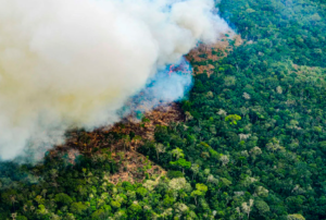 INCENDIOS FORESTALES EN LA AMAZONÍA ALCANZA ALREDEDOR DE 800 FOCOS ACTIVOS – RCR Peru