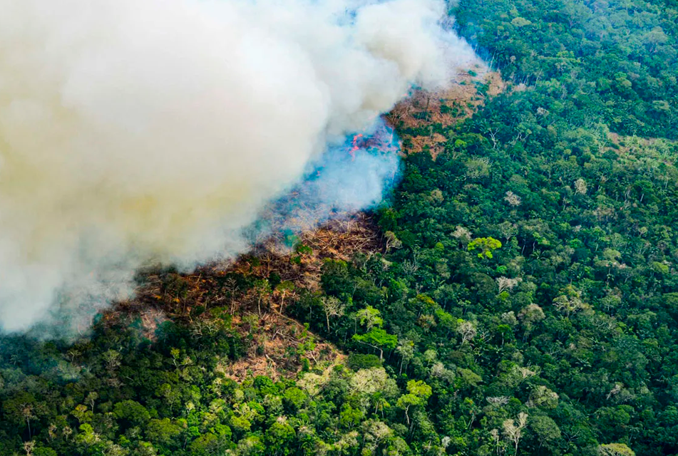 INCENDIOS FORESTALES EN LA AMAZONÍA ALCANZA ALREDEDOR DE 800 FOCOS ACTIVOS – RCR Peru