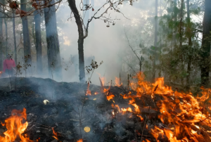 INCENDIOS FORESTALES CONTINÚAN ACTIVOS EN LOS DISTRITOS DE SAN JOSÉ DEL ALTO Y SAN FELIPE – RCR Peru