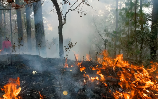 INCENDIOS FORESTALES CONTINÚAN ACTIVOS EN LOS DISTRITOS DE SAN JOSÉ DEL ALTO Y SAN FELIPE – RCR Peru
